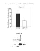 CHARACTERIZATION OF A MEMBRANE ESTROGEN RECEPTOR diagram and image