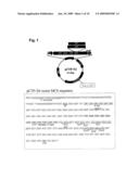 METHOD FOR EFFECTIVELY MEASURING THE ACTIVITY OF CYTOTOXIC T LYMPHOCYTES IN HUMAN AND OUT-BRED ANIMALS diagram and image