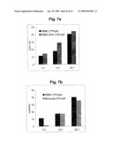 METHOD FOR EFFECTIVELY MEASURING THE ACTIVITY OF CYTOTOXIC T LYMPHOCYTES IN HUMAN AND OUT-BRED ANIMALS diagram and image