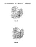 METHOD FOR PREPARING ANTIBODIES SELECTIVE FOR ACTIVATING FC RECEPTORS diagram and image