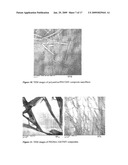 BIONANOMATERIALS AND THEIR SYNTHESIS diagram and image