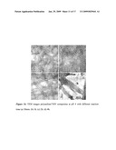 BIONANOMATERIALS AND THEIR SYNTHESIS diagram and image