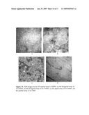 BIONANOMATERIALS AND THEIR SYNTHESIS diagram and image