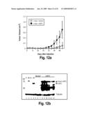 Orthotopic and genetically tractable non-human animal model for liver cancer and the uses thereof diagram and image