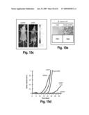 Orthotopic and genetically tractable non-human animal model for liver cancer and the uses thereof diagram and image