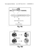 Orthotopic and genetically tractable non-human animal model for liver cancer and the uses thereof diagram and image