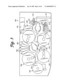 Automated System for Isolating, Amplifying, and Detecting a Target Nucleic Acid Sequence Present in a Fluid Sample diagram and image