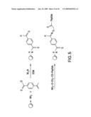 Targeting Host Proteinases as a Therapeutic Strategy Against Viral and Bacterial Pathogens diagram and image