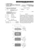 Polylactic Acid Complex and Production Method Thereof diagram and image