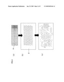 Polylactic Acid Complex and Production Method Thereof diagram and image