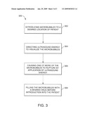 Ultrasound and Microbubbles in Ocular Diagnostics and Therapies diagram and image