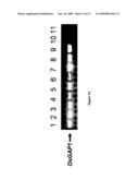 METHODS TO ENHANCE PLANT TRAUMA RESISTANCE diagram and image