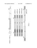 Use of a tospoviral nucleid acid molecule for broad-spectrum transgenic resistance against different tospoviruses diagram and image