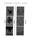 GTP Binding Stress-Related Proteins and Methods of use in Plants diagram and image