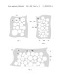 POROUS BODIES AND METHODS diagram and image