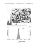 POROUS BODIES AND METHODS diagram and image