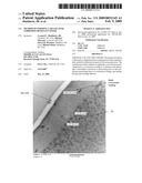 Method of forming a multilayer, corrosion-resistant finish diagram and image