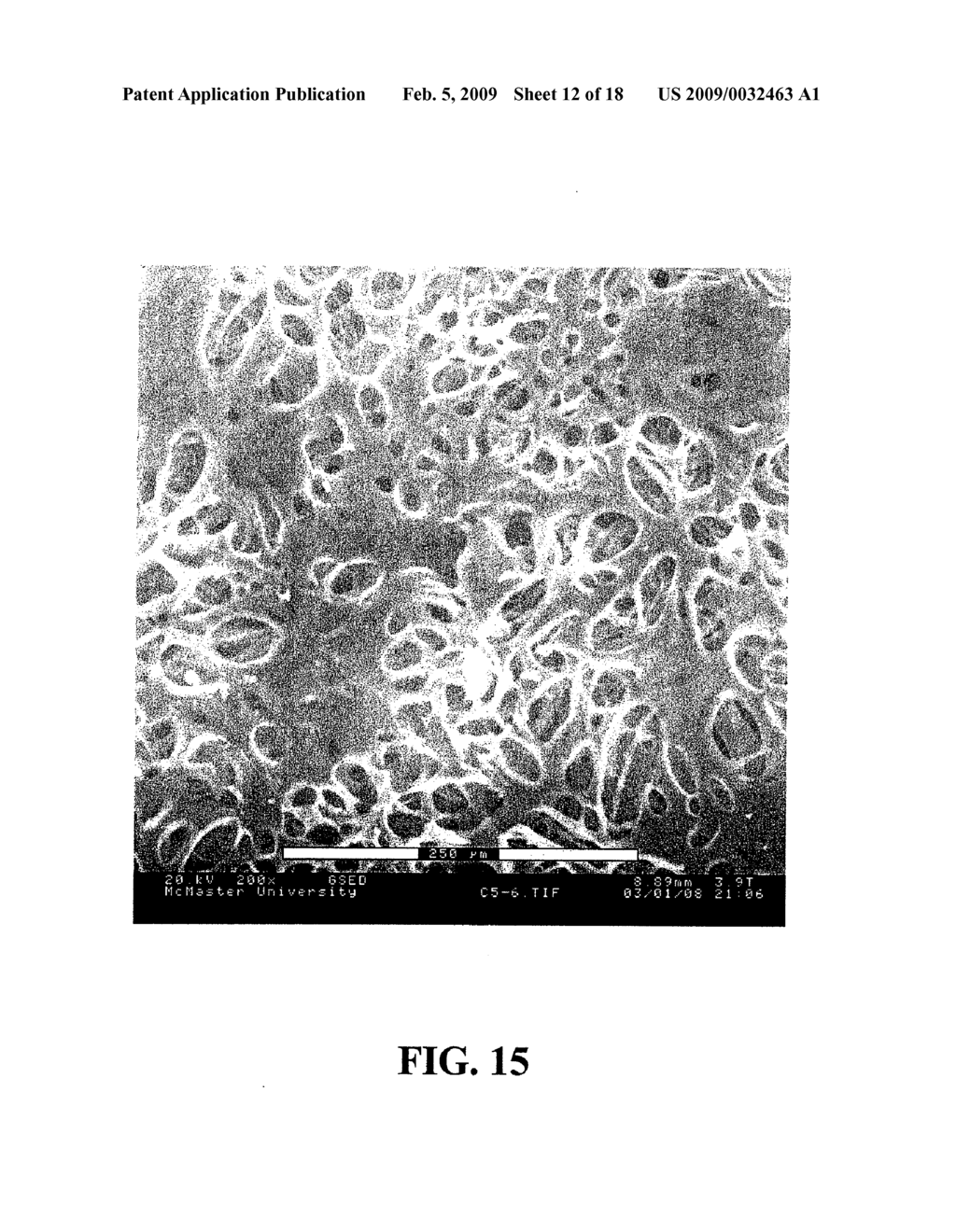 COMPOSITE MATERIALS COMPRISING SUPPORTED POROUS GELS - diagram, schematic, and image 13