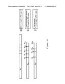 Tag Identification System, Tag Reading Apparatus, and Method for Determining Location of Tags diagram and image