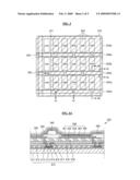 Organic light emitting display diagram and image