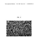 SUBSTRATES FOR RAMAN SPECTROSCOPY HAVING DISCONTINUOUS METAL COATINGS diagram and image