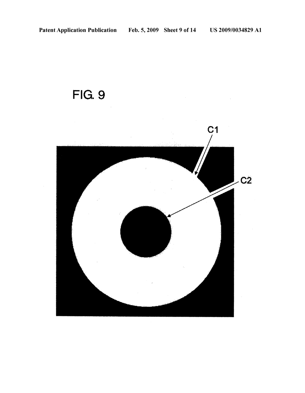 METHOD FOR INSPECTING A FOREIGN MATTER ON MIRROR-FINISHED SUBSTRATE - diagram, schematic, and image 10