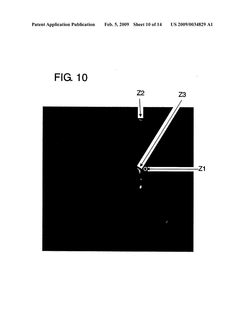 METHOD FOR INSPECTING A FOREIGN MATTER ON MIRROR-FINISHED SUBSTRATE - diagram, schematic, and image 11