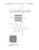 IMAGE DISPLAY APPARATUS AND METHOD FOR CORRECTION CHROMA WRINKLE diagram and image