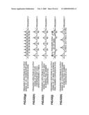 VIDEO SIGNAL RECORDING/REPRODUCING APPARATUS diagram and image