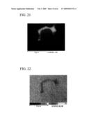 R-T-B TYPE ALLOY AND PRODUCTION METHOD THEREOF, FINE POWDER FOR R-T-B TYPE RARE EARTH PERMANENT MAGNET, AND R-T-B TYPE RARE EARTH PERMANENT MAGNET diagram and image