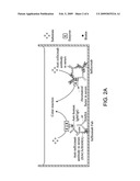 Method for determining in vivo biopharmaceutical concentration or bioavailability diagram and image