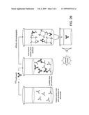 Method for determining in vivo biopharmaceutical concentration or bioavailability diagram and image