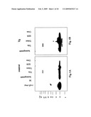 Truncated Fragments of Alpha-Synuclein in Lewy Body Disease diagram and image