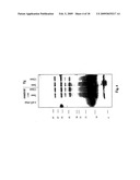 Truncated Fragments of Alpha-Synuclein in Lewy Body Disease diagram and image