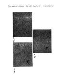 Truncated Fragments of Alpha-Synuclein in Lewy Body Disease diagram and image