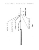 Truncated Fragments of Alpha-Synuclein in Lewy Body Disease diagram and image