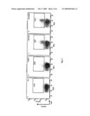 IMMUNOGENIC PEPTIDES AND METHODS OF USE diagram and image