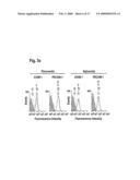 COMBINATION THERAPY USING ANTI-ANGIOGENIC AGENTS AND TNF alpha diagram and image