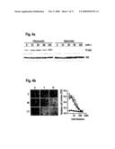 COMBINATION THERAPY USING ANTI-ANGIOGENIC AGENTS AND TNF alpha diagram and image