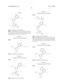 TETRAZOLYL MACROCYCLIC HEPATITIS C SERINE PROTEASE INHIBITORS diagram and image