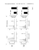 Methods and formulations for protecting cells, and for treating diseases and conditions by optimizing the intracellular concentration of NAD diagram and image