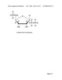 Methods and formulations for protecting cells, and for treating diseases and conditions by optimizing the intracellular concentration of NAD diagram and image