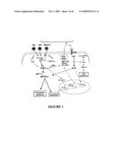 USE OF A COMBINATION OF MYXOMA VIRUS AND RAPAMYCIN FOR THERAPEUTIC TREATMENT diagram and image