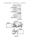 USE OF A COMBINATION OF MYXOMA VIRUS AND RAPAMYCIN FOR THERAPEUTIC TREATMENT diagram and image