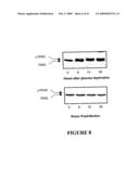 USE OF A COMBINATION OF MYXOMA VIRUS AND RAPAMYCIN FOR THERAPEUTIC TREATMENT diagram and image