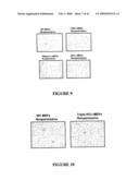 USE OF A COMBINATION OF MYXOMA VIRUS AND RAPAMYCIN FOR THERAPEUTIC TREATMENT diagram and image