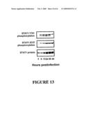 USE OF A COMBINATION OF MYXOMA VIRUS AND RAPAMYCIN FOR THERAPEUTIC TREATMENT diagram and image