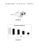 USE OF A COMBINATION OF MYXOMA VIRUS AND RAPAMYCIN FOR THERAPEUTIC TREATMENT diagram and image