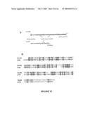 USE OF A COMBINATION OF MYXOMA VIRUS AND RAPAMYCIN FOR THERAPEUTIC TREATMENT diagram and image