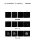 DERIVATION OF NEURAL STEM CELLS FROM EMBRYONIC STEM CELLS AND METHODS OF USE THEREOF diagram and image